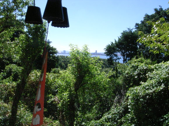 f0201157_8125368.jpg