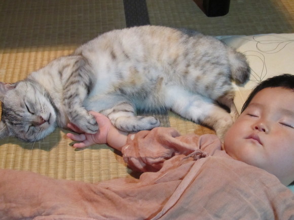 f0201157_831176.jpg