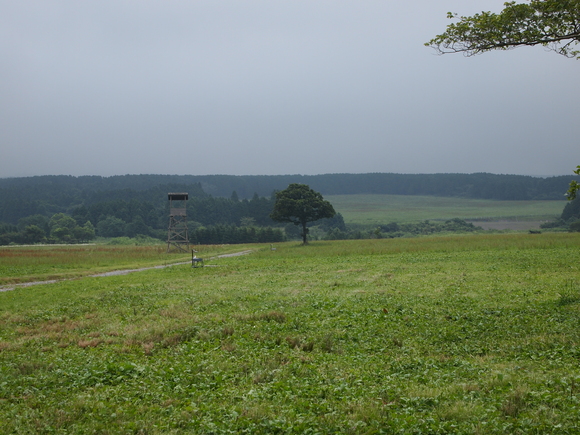 d0160960_2241566.jpg