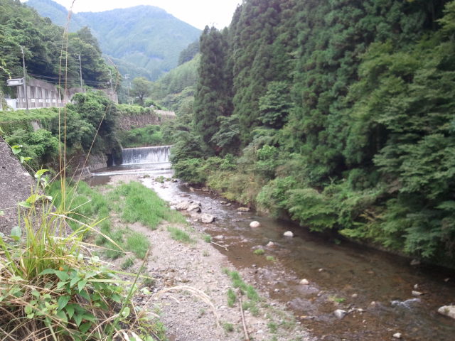 a0134562_1844318.jpg