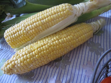 e0212862_2158426.jpg