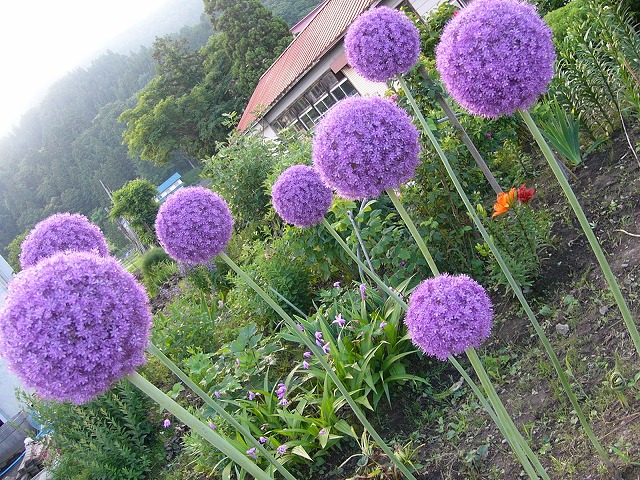 b0218664_10135969.jpg