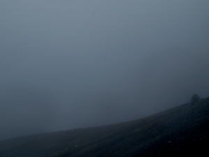 b0133367_15864.jpg