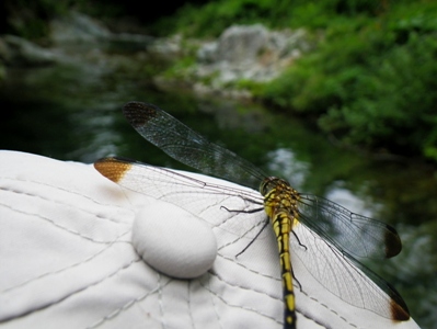d0128167_05866.jpg