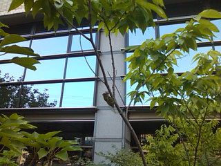f0061067_22224253.jpg