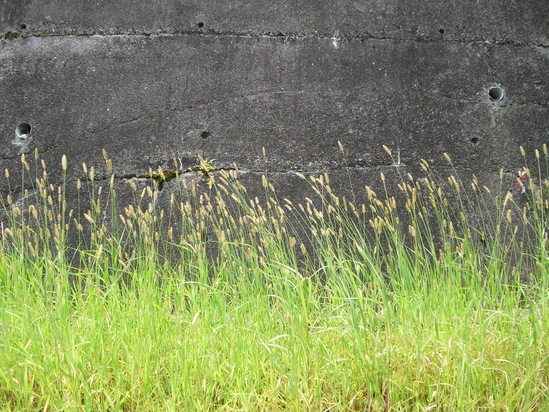 c0011169_82649100.jpg