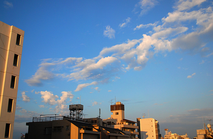 c0009981_6593878.jpg