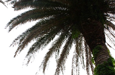 c0204385_2357586.jpg