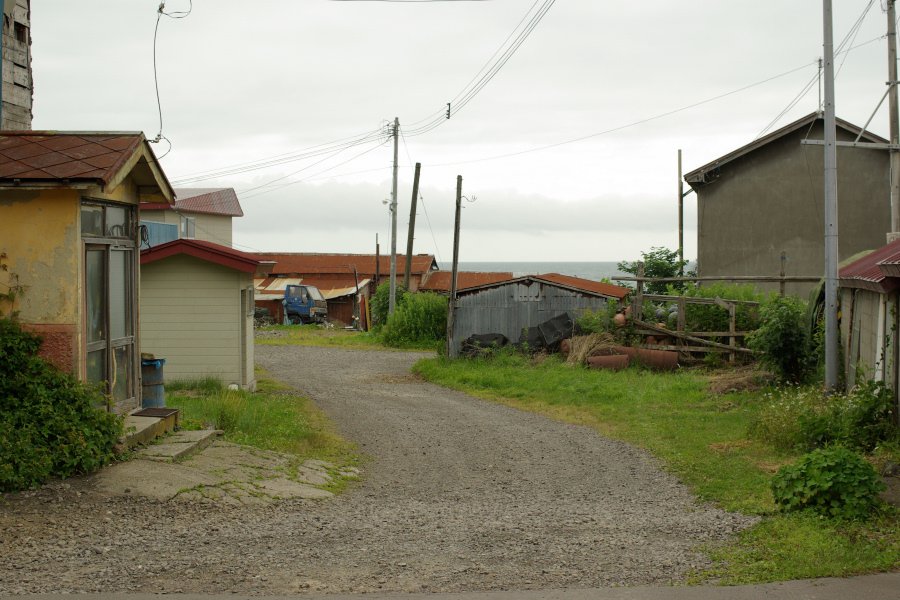 e0051186_20242016.jpg