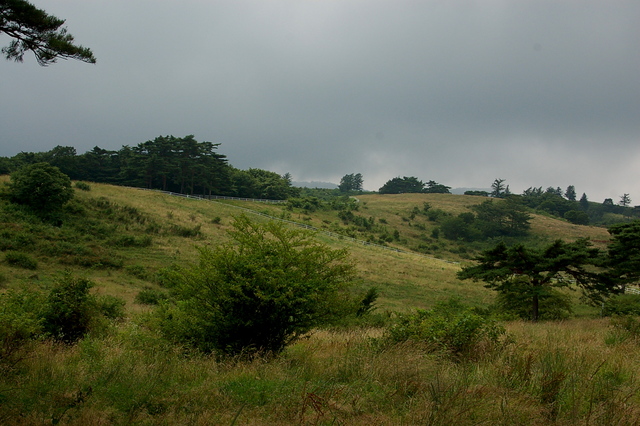 b0203588_2040348.jpg