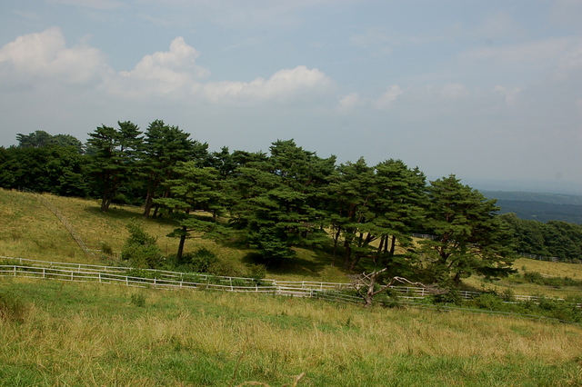 b0203588_20445935.jpg