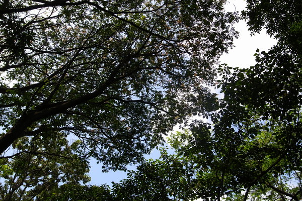 c0190391_2184919.jpg