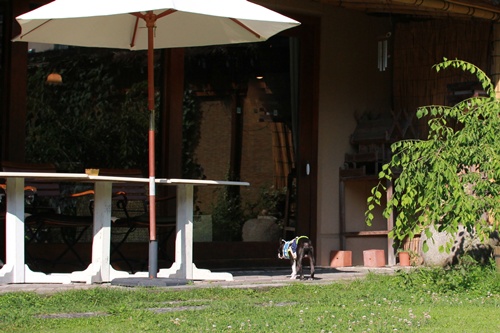 e0229992_16175276.jpg