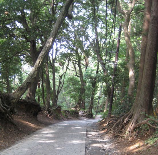 f0201297_1555870.jpg