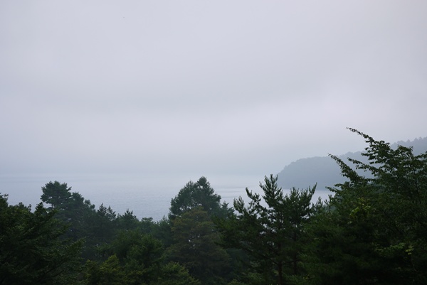 d0133704_1451035.jpg