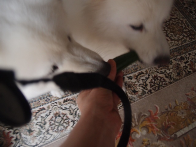 e0018604_20144374.jpg