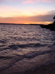 d0107605_0494211.jpg