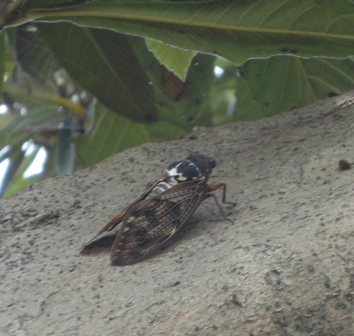 f0231709_23461657.jpg