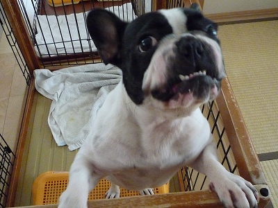 b0207912_20100100.jpg