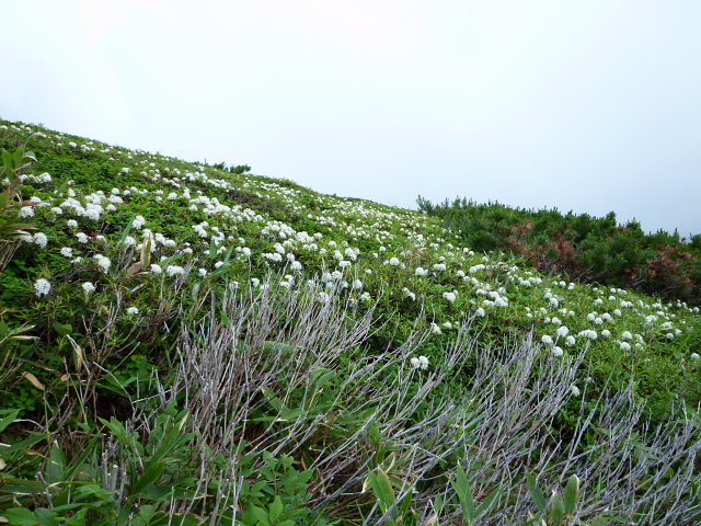 d0170615_2210128.jpg