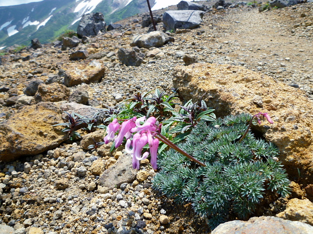 d0170615_2253115.jpg