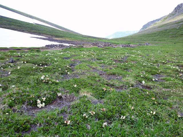 d0170615_2271293.jpg