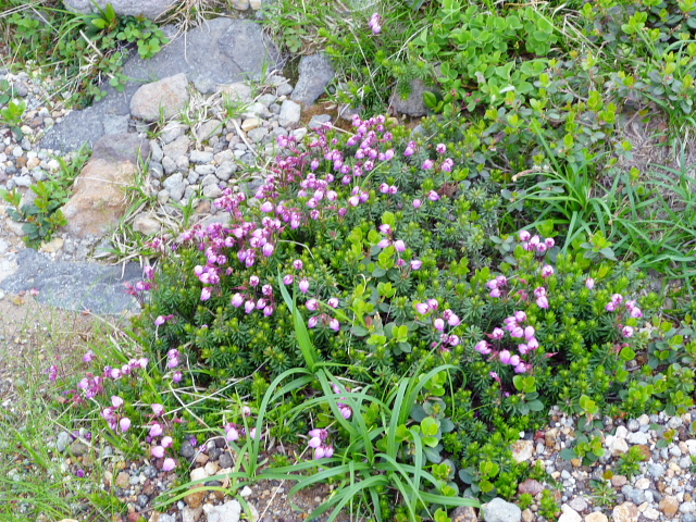 d0170615_2292689.jpg