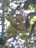 f0053615_22155323.jpg