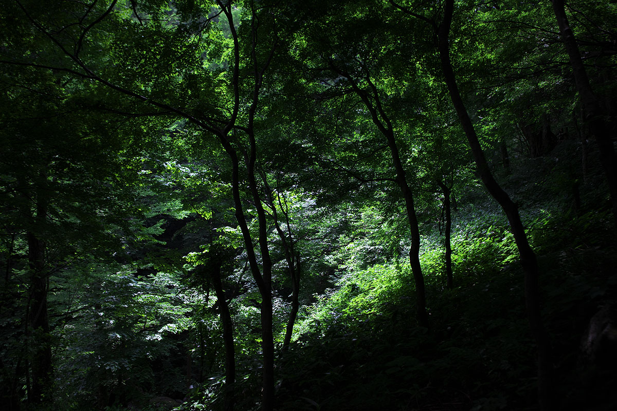 c0115616_42752100.jpg