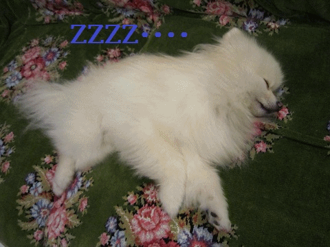 b0167519_9212450.gif