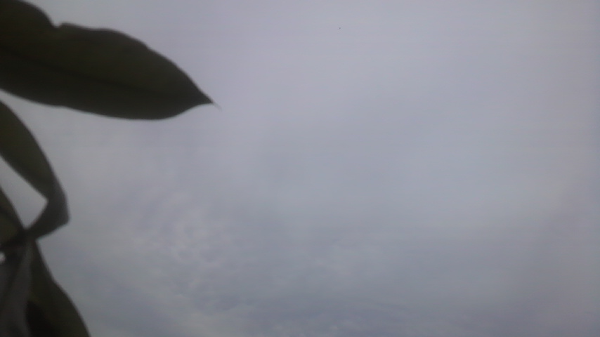 c0048121_4575317.jpg