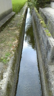 c0038722_844098.jpg