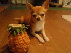 f0022024_21564670.jpg