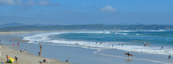 d0240228_12413856.jpg