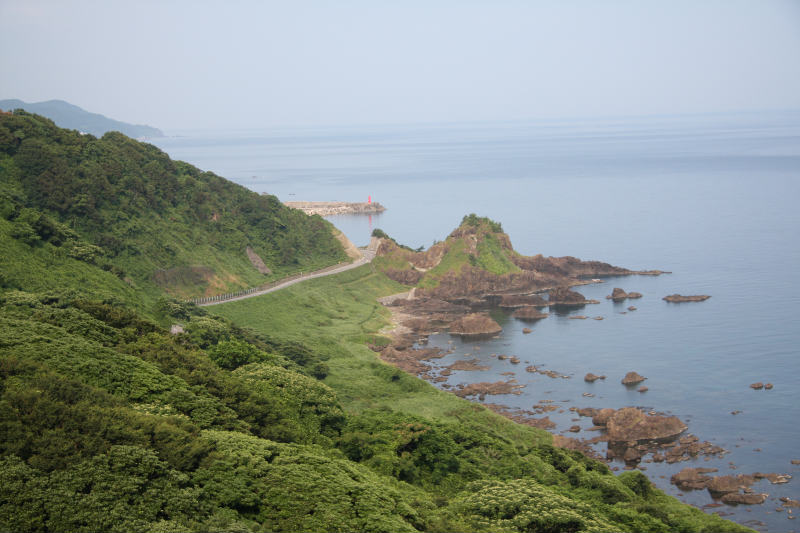 f0219228_04531.jpg