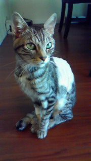 c0125532_18401045.jpg