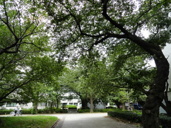 f0238932_231444.jpg