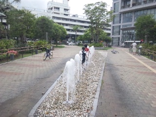 b0199742_2311895.jpg