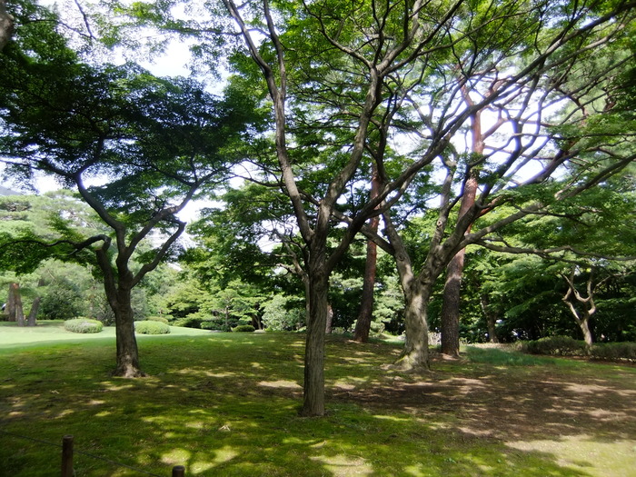 e0206242_8483344.jpg