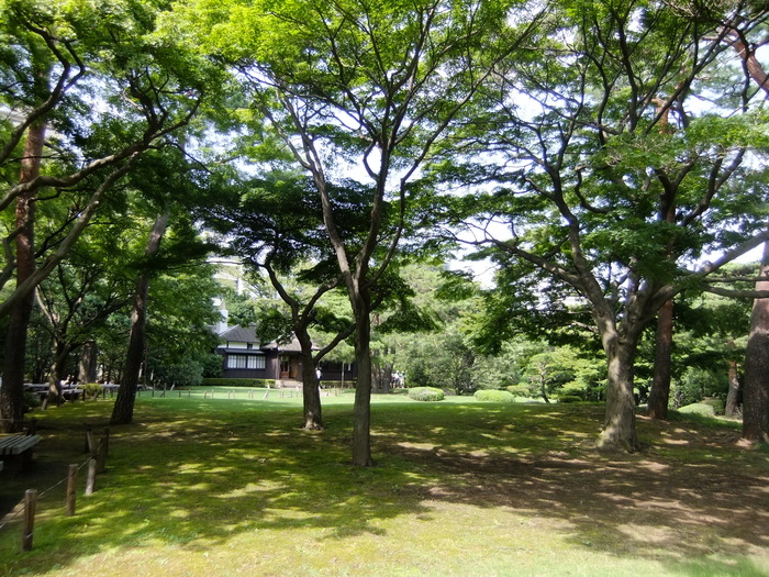 e0206242_849175.jpg
