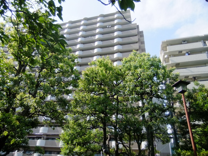 e0206242_934520.jpg