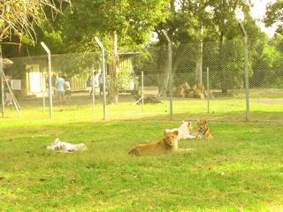 f0200342_073476.jpg