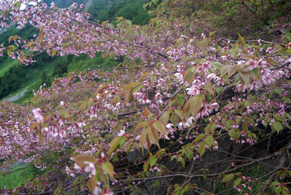 f0214649_4554940.jpg