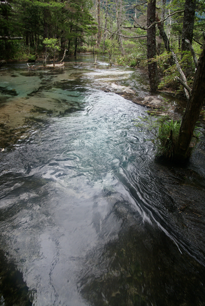 f0214649_5142161.jpg