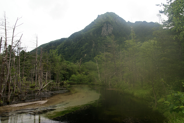f0214649_5144163.jpg