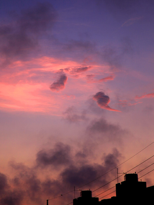 b0049152_1511370.jpg