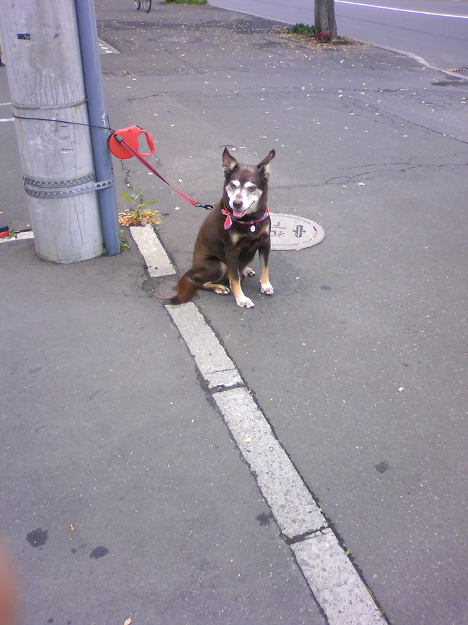 d0006253_23222139.jpg