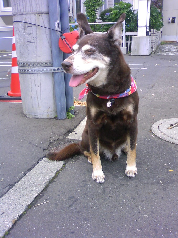 d0006253_23225581.jpg