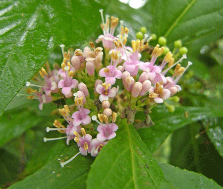a0001354_22582512.gif