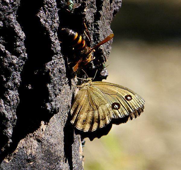 d0091754_293597.jpg